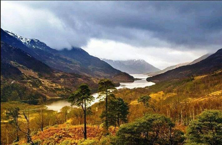 Forest View Guest House Kinlochleven Extérieur photo
